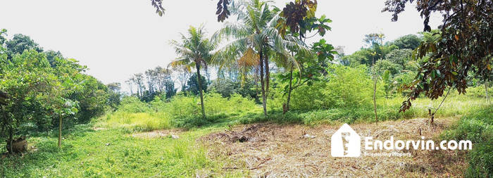 Tanah 1,6 Ha Ciseeng Bogor – Dekat Tol JORR 3, Harga Murah Cocok Komersial