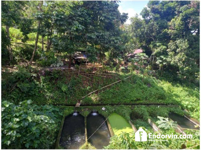 Dijual Tanah Lokasi Strategis Pinggir Jalan Airmadidi Atas Dan Jalan Tornado-Airmadidi