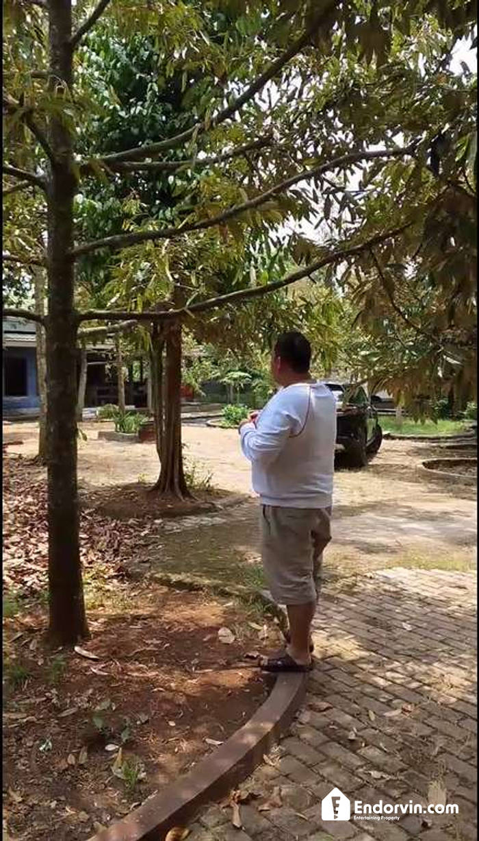 DIJUAL CEPAT Tanah Kebun + Vila Siap Huni!